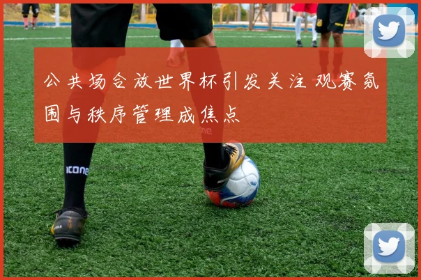 公共场合放世界杯引发关注 观赛氛围与秩序管理成焦点