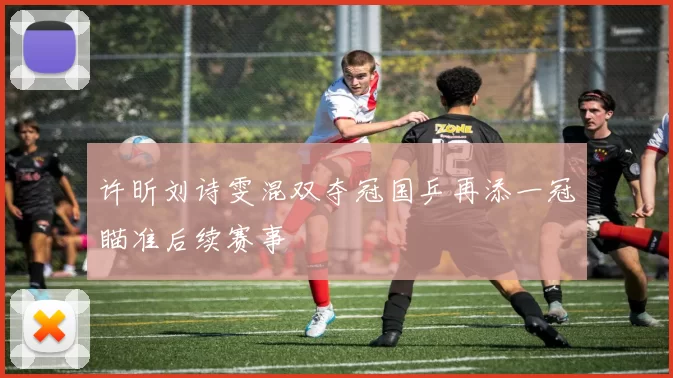 许昕刘诗雯混双夺冠国乒再添一冠瞄准后续赛事